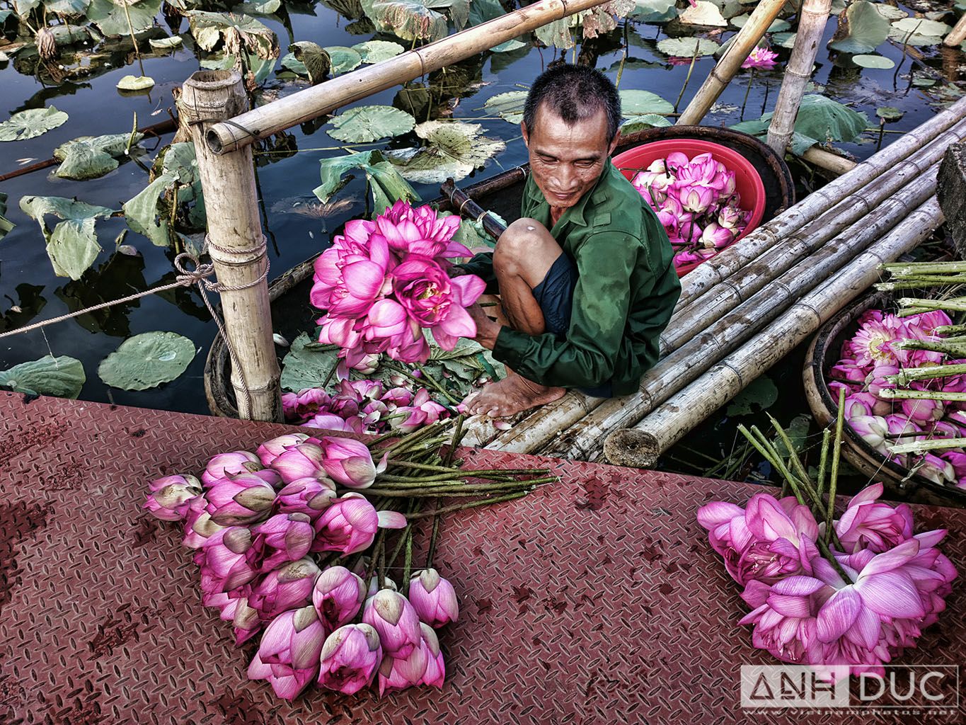 Truong Anh Duc Press Photographer - Vietnam Photos