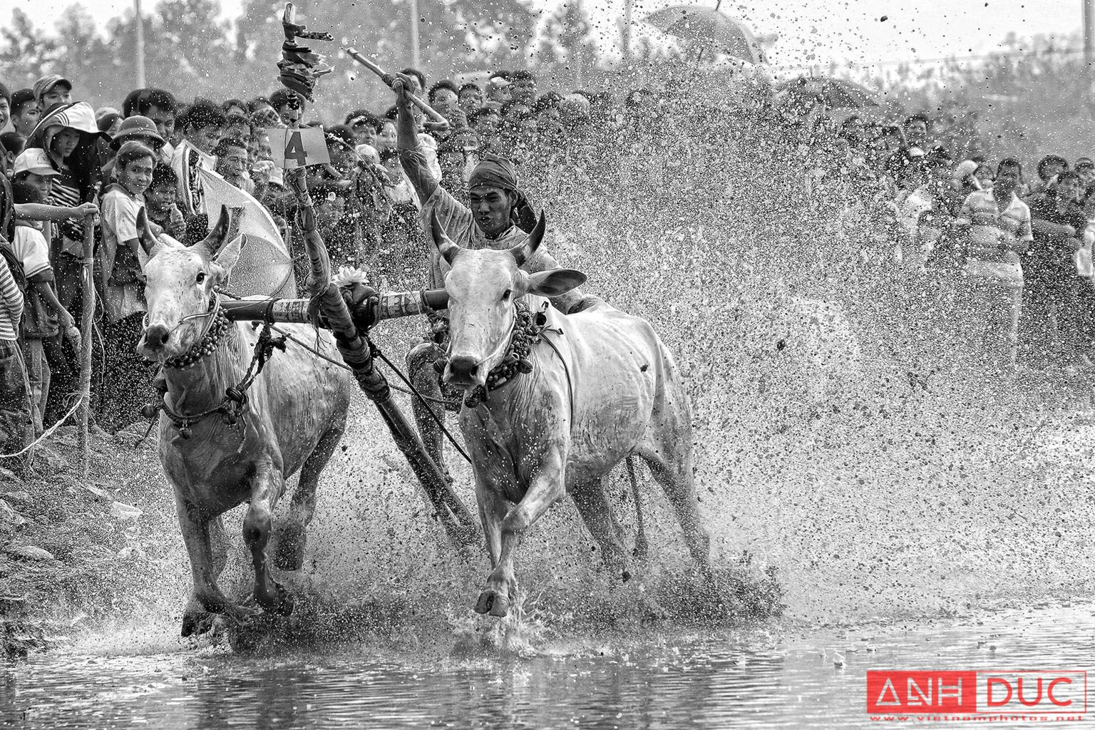 Truong Anh Duc Press Photographer - Vietnam Photos