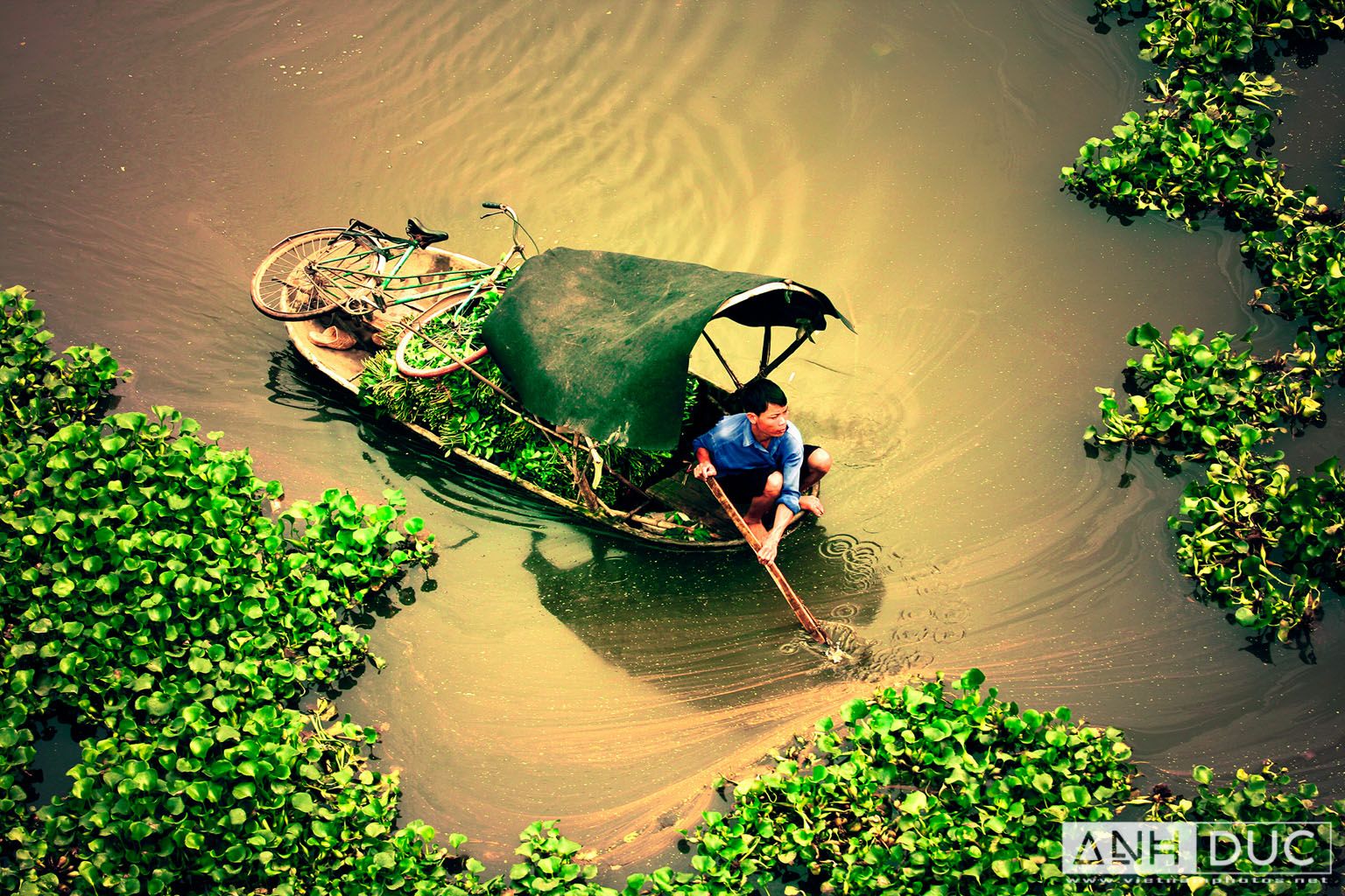 Truong Anh Duc Press Photographer - Vietnam Photos